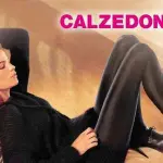 Nuove offerte di lavoro Calzedonia