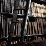 Lavorare in biblioteca: requisiti e come fare