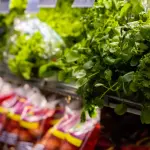 Esselunga Lavora con noi: 100 nuove assunzioni in Liguria