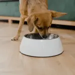 Monge Lavora con noi: 40 nuove assunzioni