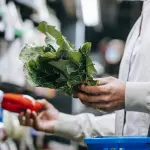 MD Discount Lavora con noi: posizioni aperte, come candidarsi