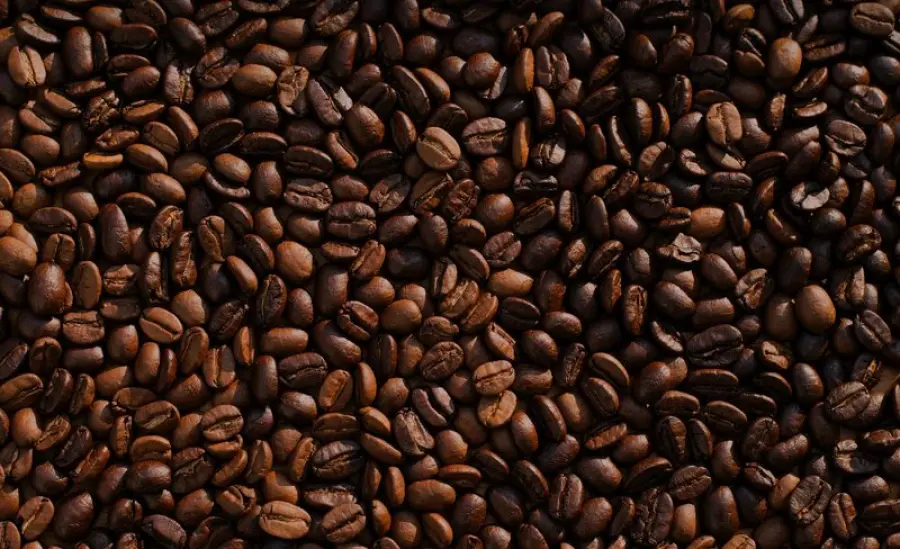 Lavazza Lavora con noi: posizioni aperte, come candidarsi