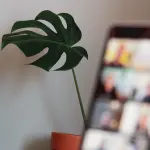 Concorso per amministrativi nel Comune di Otranto: come candidarsi