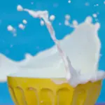 Granarolo Lavora con noi: posizioni aperte, come candidarsi