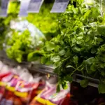 Despar Lavora con noi: offerte disponibili e come candidarsi