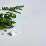 Decreto Natale: i negozi che non chiudono nel periodo delle feste