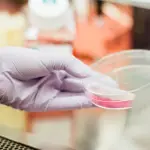 In arrivo nuovi posti nella sanità per il vaccino anti Covid