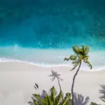 L'Australia lancia un'offerta di lavoro per vivere in un'isola incantevole