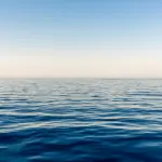 Nuove offerte di lavoro Grimaldi Lines: come candidarsi