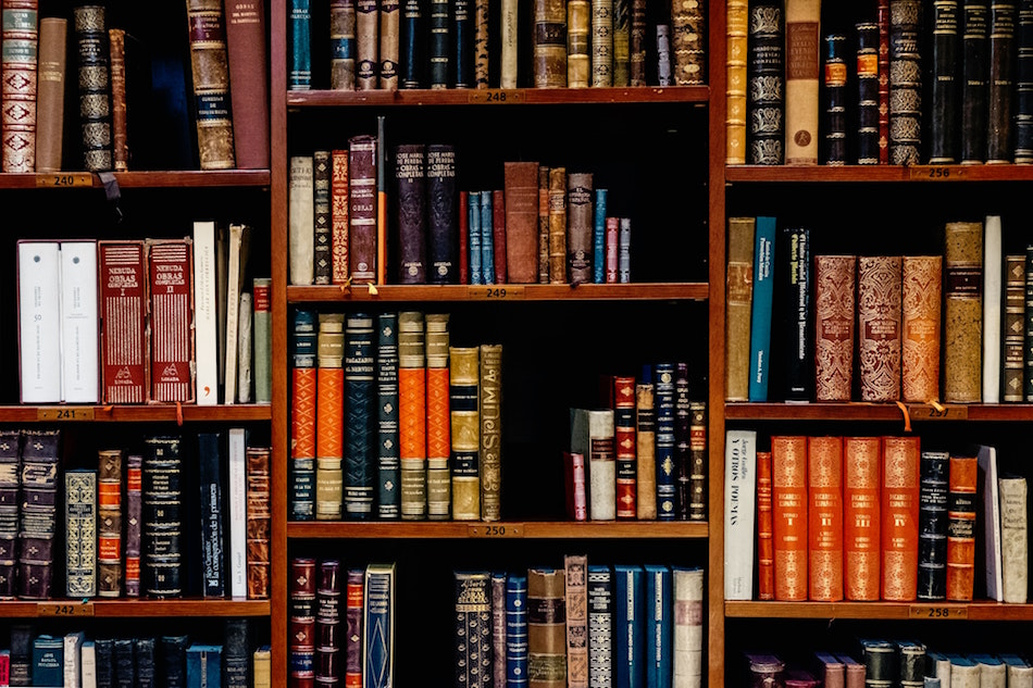 Offerta formativa universitaria: quali sono le recenti tendenze