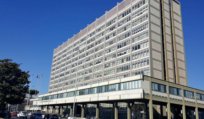 Assegno di invalidità: quali requisiti per ottenerlo