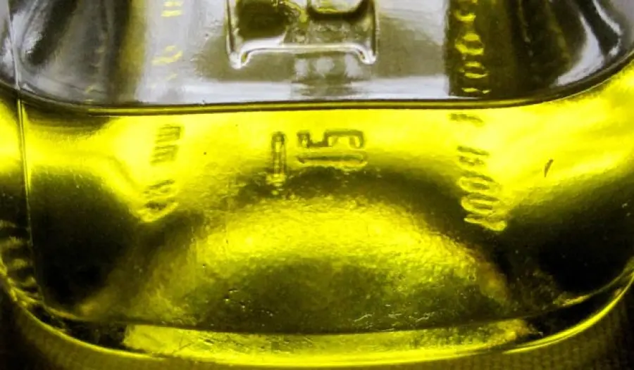 Olio di semi di canapa light: dalla cosmesi ai rimedi olistici