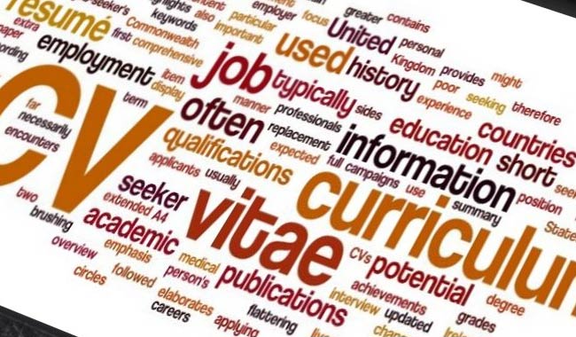 Curriculum vitae europeo, istruzioni per l’uso
