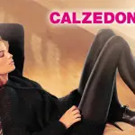Calzedonia propone posti di lavoro per il nuovo brand