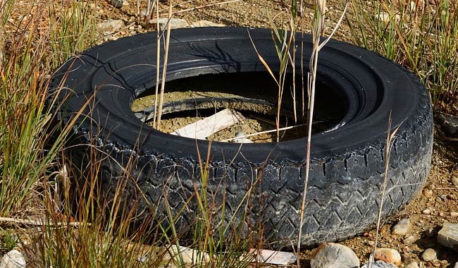 Salento tumori in aumento per inquinamento ambientale